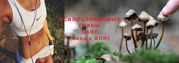 ПСИЛОЦИБИНОВЫЕ ГРИБЫ Нефтегорск