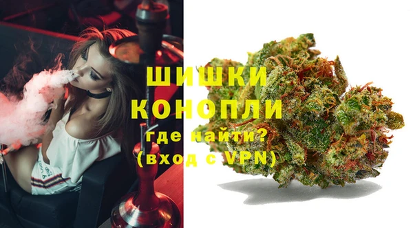 ПСИЛОЦИБИНОВЫЕ ГРИБЫ Нефтегорск