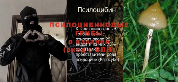 кокс Нея