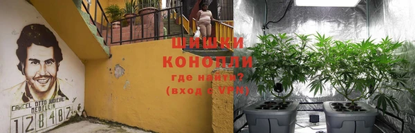 ПСИЛОЦИБИНОВЫЕ ГРИБЫ Нефтегорск